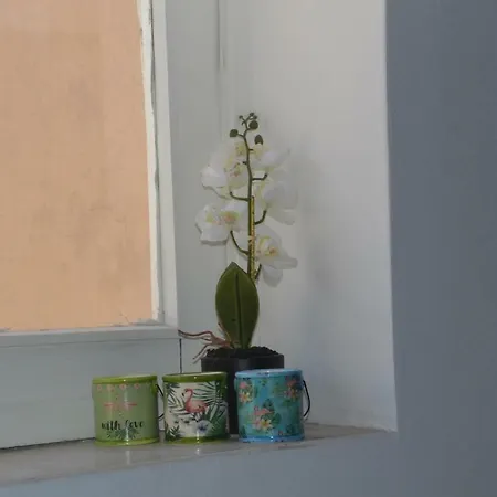 Colosseum Relax Family Daire