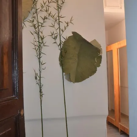 Colosseum Relax Family *